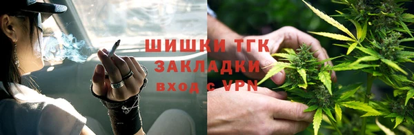 шишки Аркадак