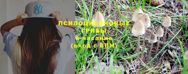 ПСИЛОЦИБИНОВЫЕ ГРИБЫ Балабаново