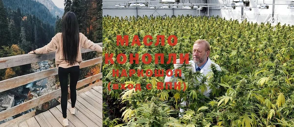 шишки Аркадак