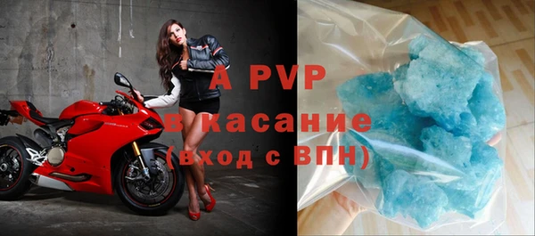 шишки Аркадак