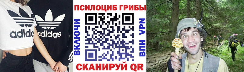 Псилоцибиновые грибы Magic Shrooms Купить закладки Курганинск